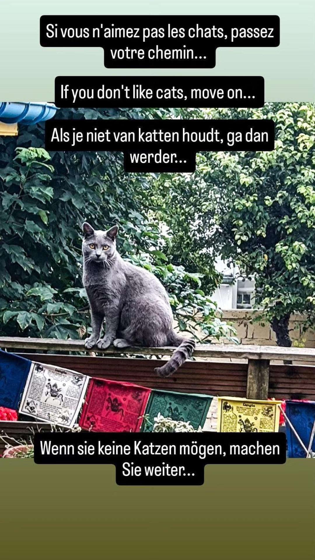 Villa Des Chats Calais Exterior foto